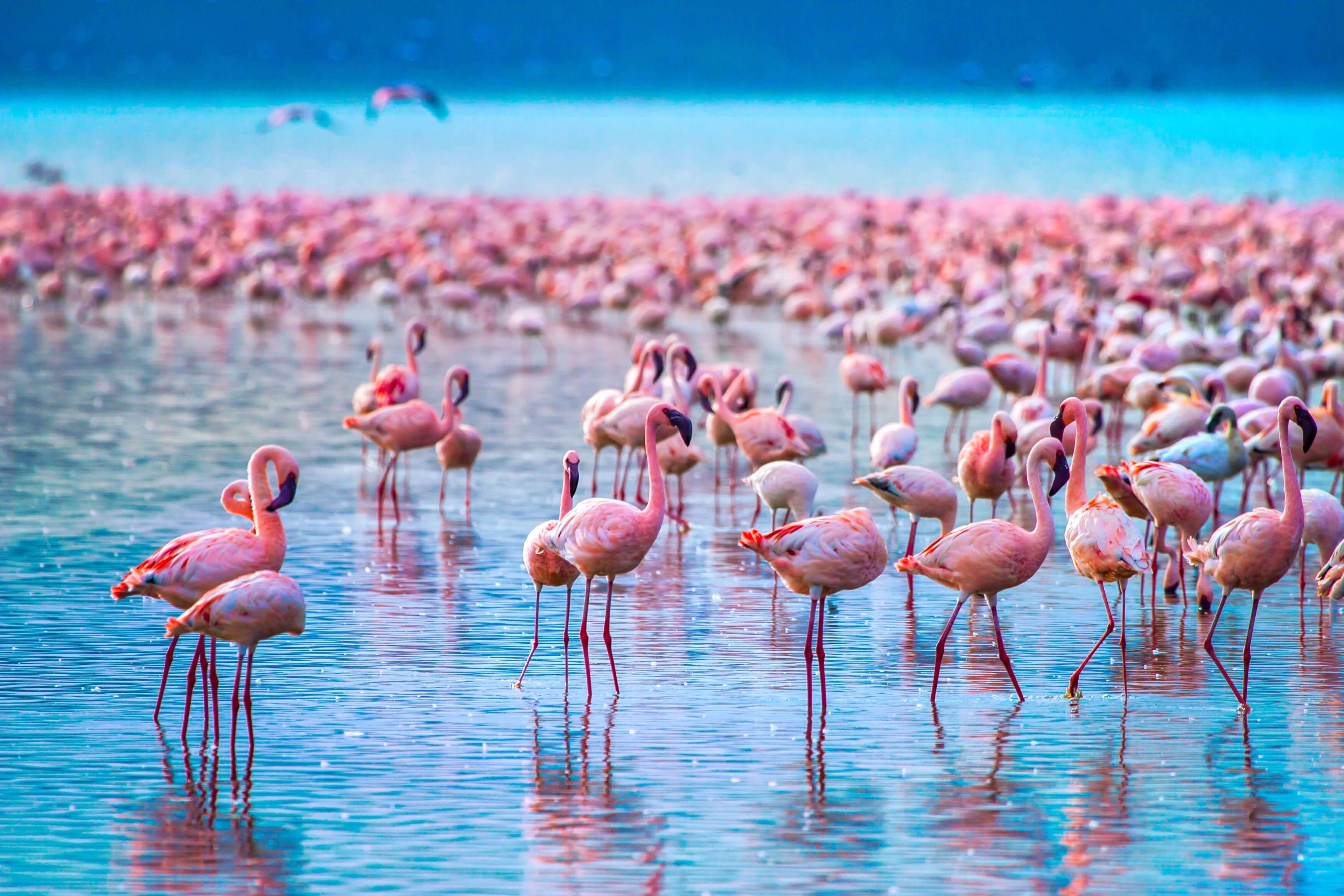 Nakuru